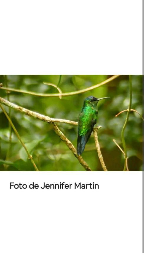 Jardin De Naipi 3 Lejlighed Puerto Iguazú Eksteriør billede