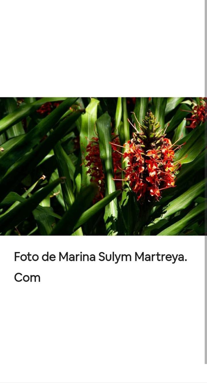 Jardin De Naipi 3 Lejlighed Puerto Iguazú Værelse billede